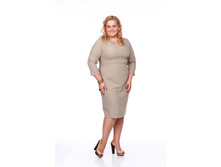 ������ ���� �������