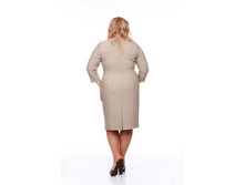 ������ ���� �������