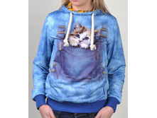 ���. ���. C 13027.jpg