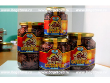 ���������������� ������� ���������