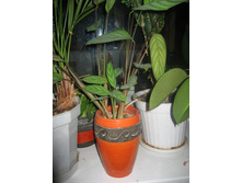 ������� � ������������ ������-200�