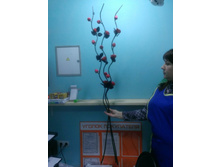 ���� �� ������� ��������