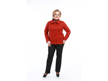 ����� ������ �������