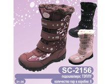 sc-2156.jpg