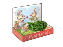 hps-197 ���� �����.jpg