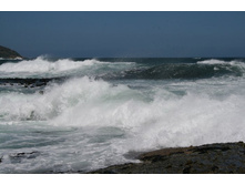 ������������� �����