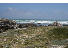 ��� �������� - ����� ����� ����� ������