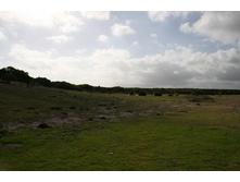 �������:)