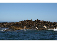 ��������� ������