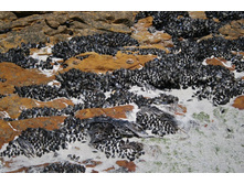 ��� ����� ������. �� ��� ��������. � ����.