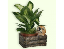 ����� �����. ���.��08116