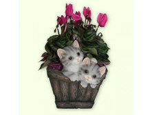 ����� ���� � ��������. ���.HP07184