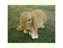 ������� ������� ������. ���.MG 22978