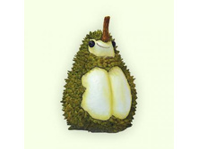 ������� ���������� ����. ���.SFB036003