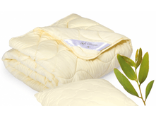 ������ ��������  ��������.png