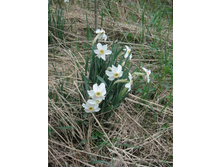 ���������� ������ �� � ����... � ������� ��� ��...