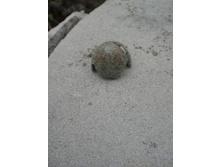 ������� ����, ��������, ������, ���� ������ �����))