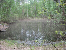 ���� � �����