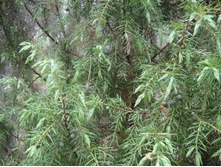 ����� �������������