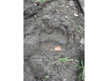 � ��� ������!