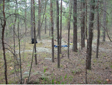 �����������)