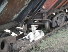 ������ ���������))