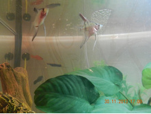 DSCN3097.JPG
