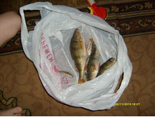 �������� �� ���� 30.11.2013(1).JPG