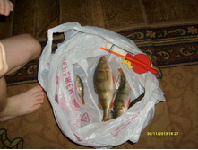 �������� �� ���� 30.11.2013(3).JPG