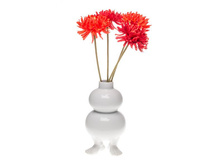 ���� �����.1645 �.