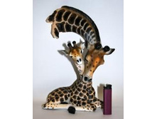 DR076_�������-����� DR076.JPG