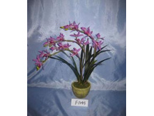 F1043_����� � ������������� ������� �������.JPG