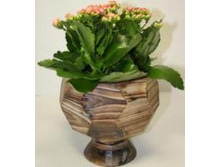 T6-Y�4208��_����� ��� ������ ������ �����.JPG