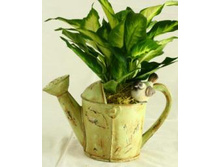 HA07113 (���)_����� ����� � �������.JPG