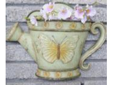 HA07372_����� �����.JPG