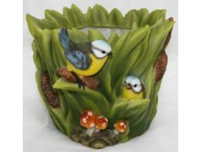 HP091046_����� ������ � �����.JPG