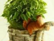 P910176_����� ����� �� ������.JPG