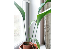 ����������+/