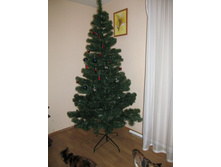 ����� 2013