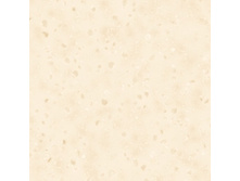 937.jpg