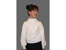 ��������� D065-31