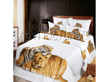 ��������� ���.png