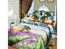 ������� ����.png