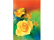 ����� ����� � ���������. � ������� 1 ��- 80 ���