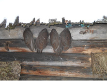 DSCN2293.JPG