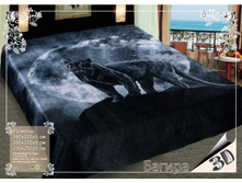 ������� �� ���� ����.jpg