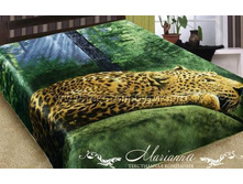 ������ �� �������.jpg