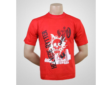 P-70a �������