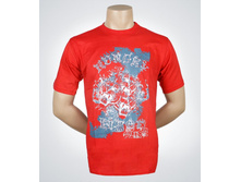 P-71a �������