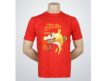 P-74a �������